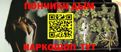 jwh Кандалакша