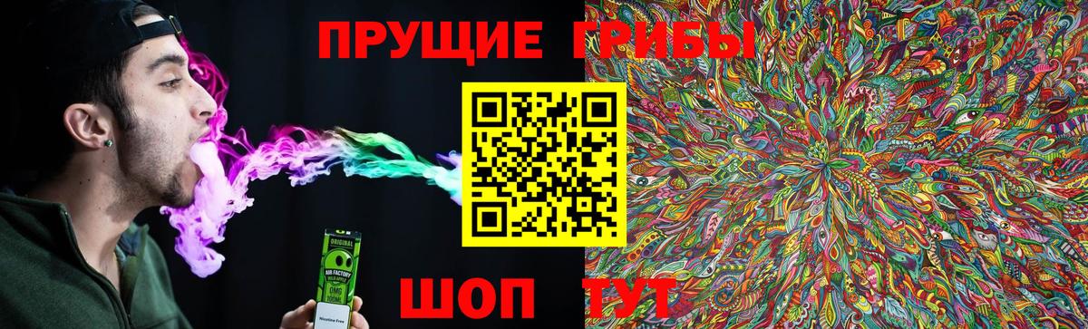 Псилоцибиновые грибы ЛСД Зеленодольск